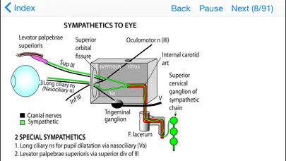 Anatomy Topics in Focus Screenshots
