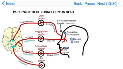 Anatomy Topics in Focus Screenshots