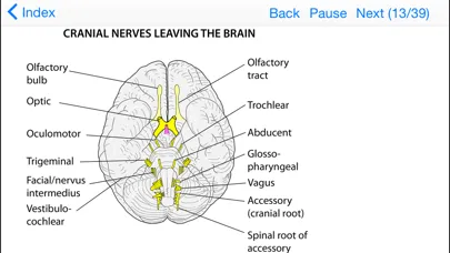 Anatomy Topics in Focus Screenshots