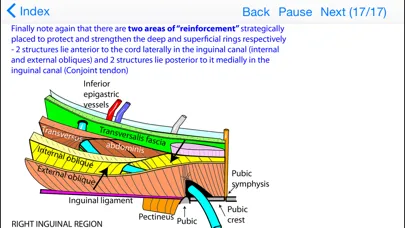 Anatomy Topics in Focus Screenshots
