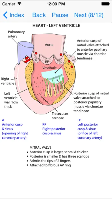 Captures d'écran de Anatomy Thorax and Abdomen