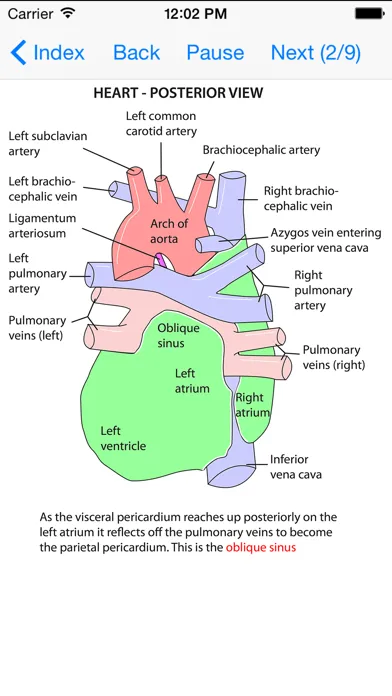 Captures d'écran de Anatomy Thorax and Abdomen