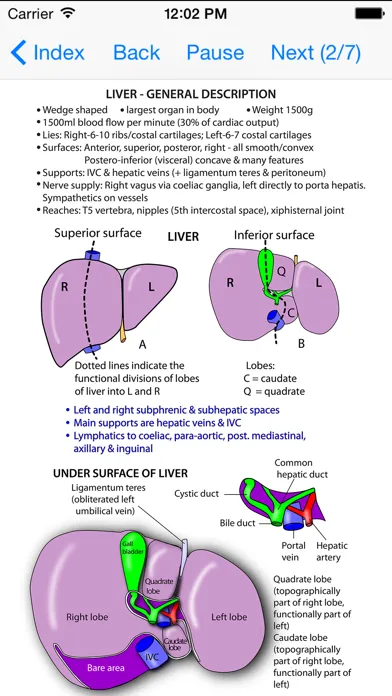 Captures d'écran de Anatomy Thorax and Abdomen