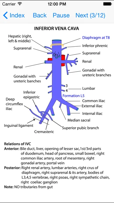 Captures d'écran de Anatomy Thorax and Abdomen