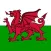 Welsh Trainer