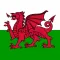 Welsh Trainer