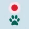Cat laser pointer  - Pet fun
