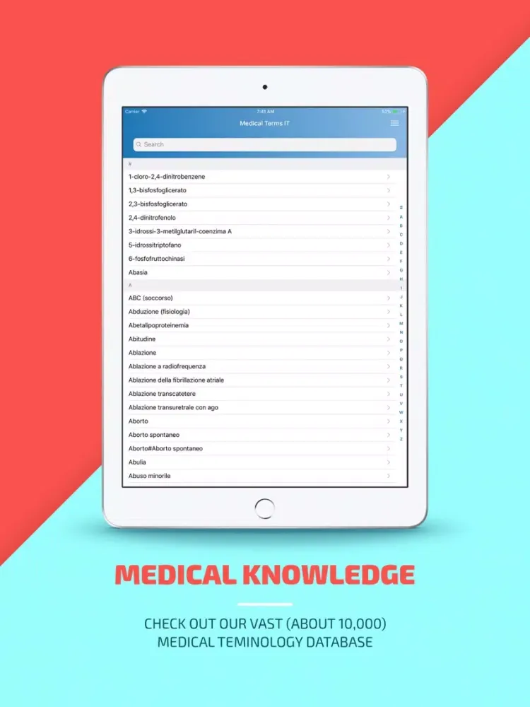 Zrzuty ekranu Termini medici IT iPad 