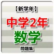 【新学期】 中学2年 数学問題集 【新学期】 中学2年 数学問題集