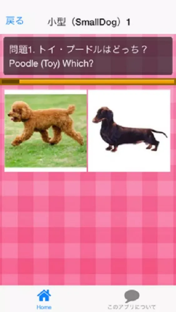 犬種クイズDog breed Quiz Screenshots