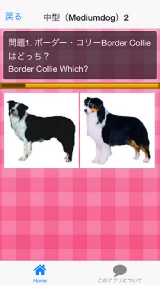犬種クイズDog breed Quiz Screenshots