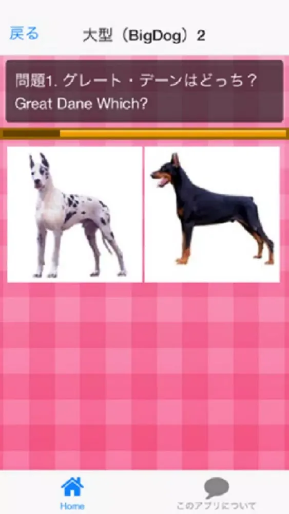 犬種クイズDog breed Quiz Screenshots