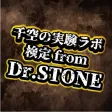 検定 for ドクターストーン　千空の実験ラボ