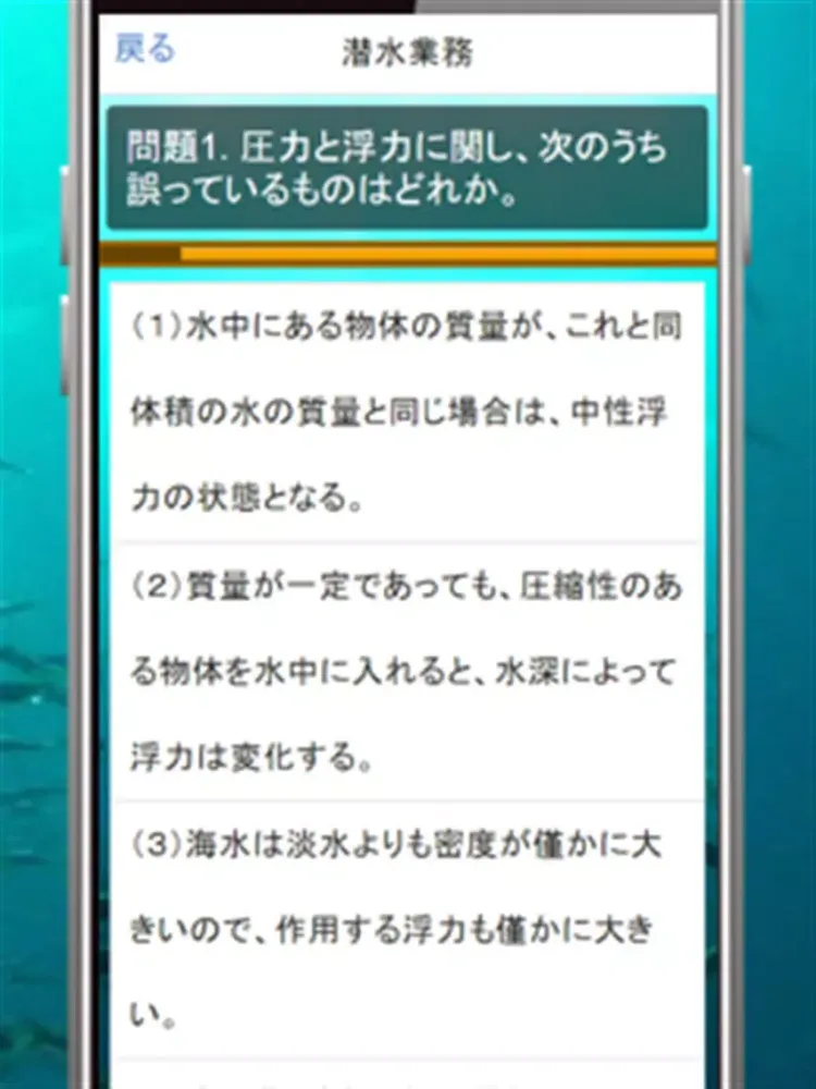 Capturas de tela do 潜水士試験過去問題集～ダイバー国家資格免許模試～ iPad 