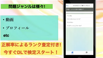 Capturas de tela do クイズforもちまる日記 もち様ペットインフルエンサー猫検定
