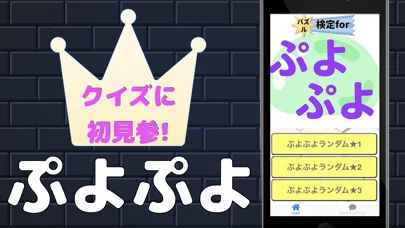 Скриншоты パズル検定forぷよぷよ