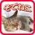 袖猫（そでねこ）動画まとめ