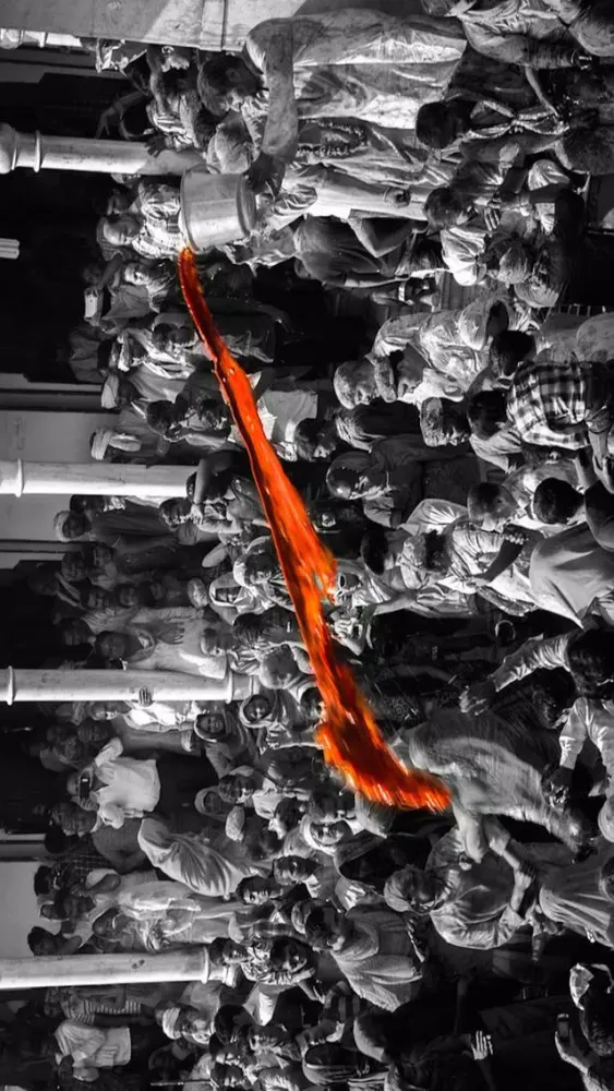 Partial Color Photo - Color Splash FREE স্ক্রিনশট