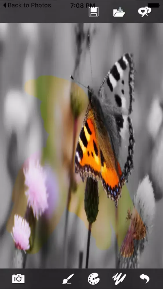 Partial Color Photo - Color Splash FREE স্ক্রিনশট