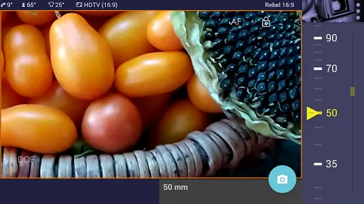 ภาพหน้าจอของ Magic Canon ViewFinder