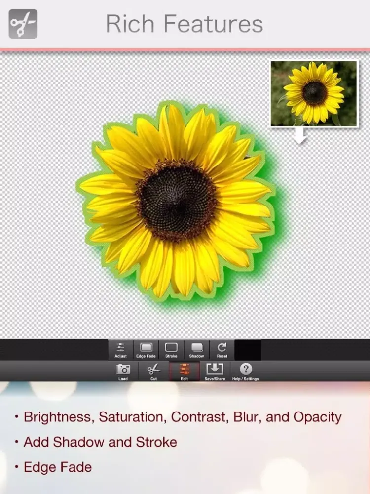 Background Eraer HD - Cut Out Images, Background Remover for Superimpose Photo iPad  স্ক্রিনশট