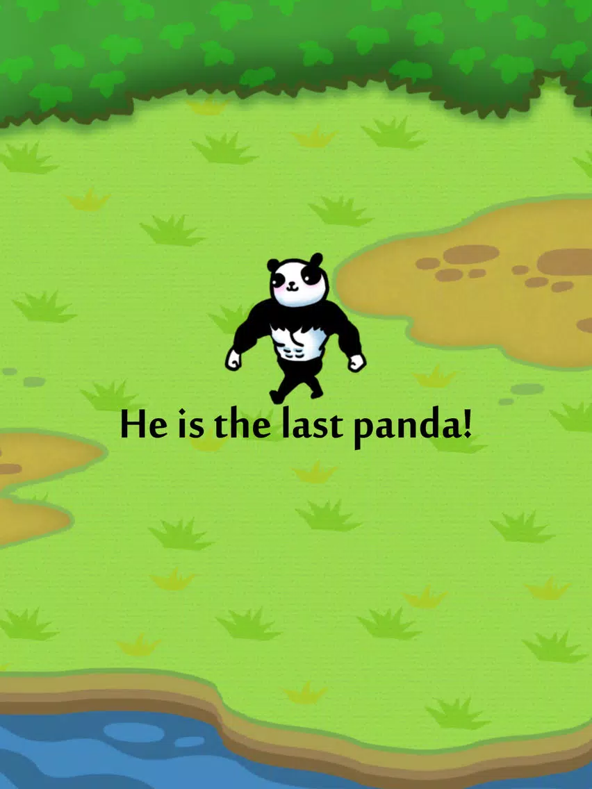 The Last Panda iPad 應用截圖