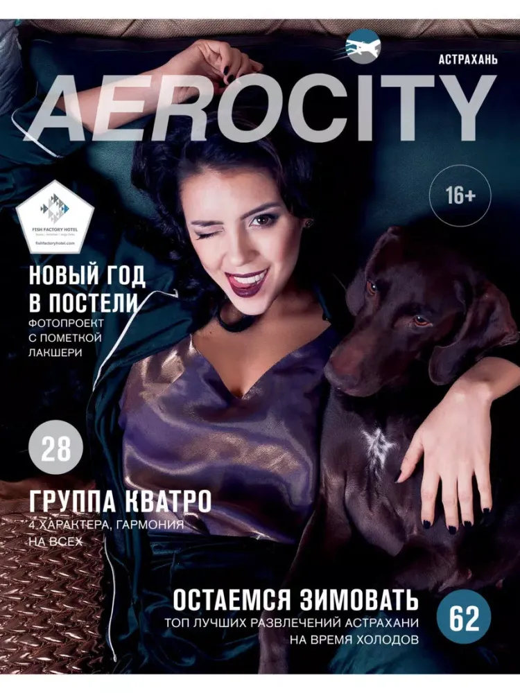 AeroCity iPad  स्क्रीनशॉट