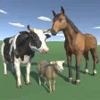 Learn: Farm animals