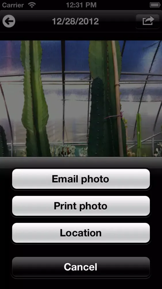 Capturas de tela do Timeless Photo Album