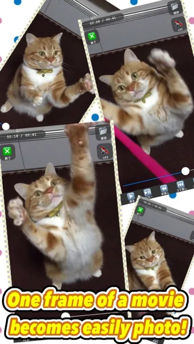 صور Movie >> Photo LITE