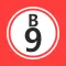 Bingo Caller