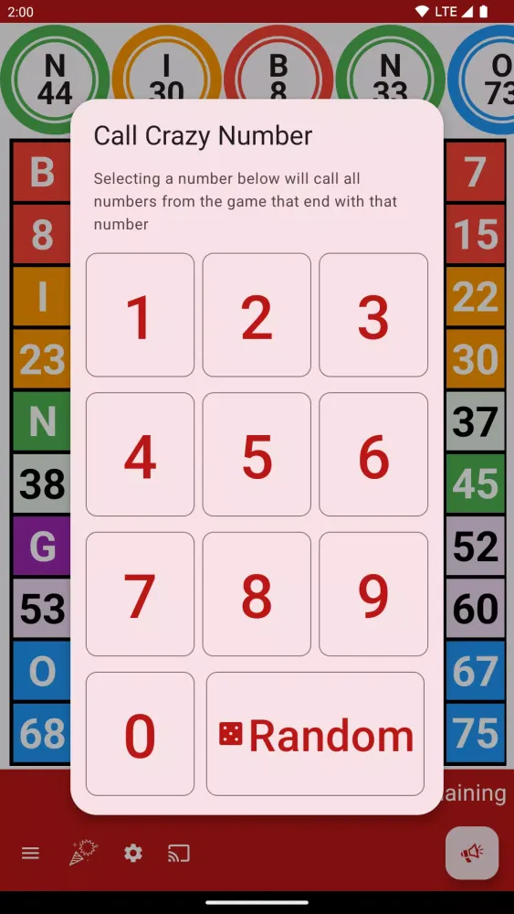 Bingo Caller应用截图