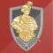 Fuerzas Militares de Colombia