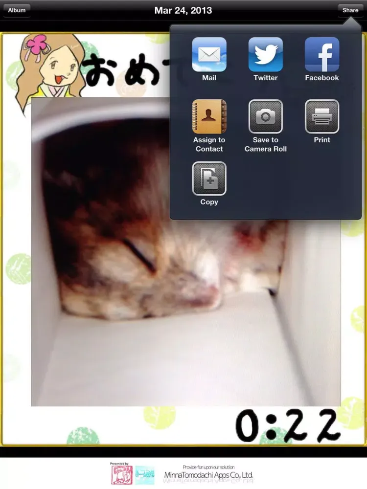صور AR 16 Puzzle Z - Let's make your own puzzle with your friend's pics! iPad 