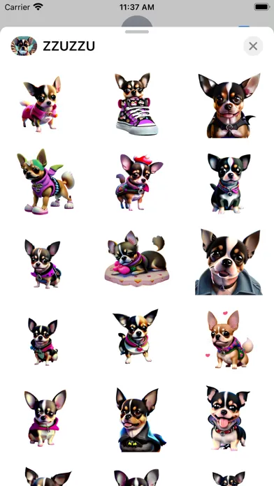 Chihuahua ZZUZZU is Cute سکرین شاٹس