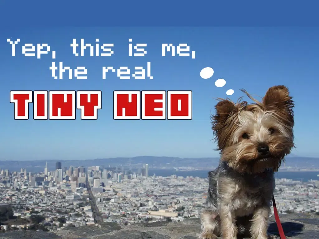 Tiny Neo - Agility Training iPad 應用截圖