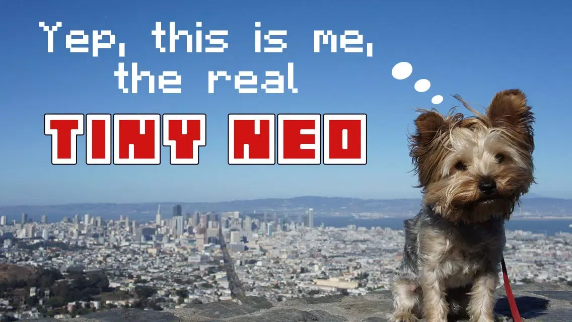 Tiny Neo - Agility Training應用截圖