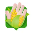 Farma na dlani