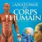 Quizz:Anatomie du Corps Humain
