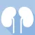 Learn Nephrology