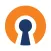 OpenVPN Connect – OpenVPN App