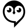 Owls - Night Owls Community Owls - Night Owls Community