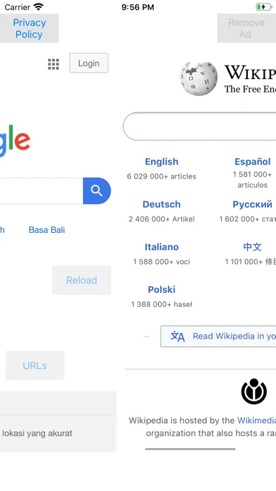 Screenshot di Multiple Web Browsers