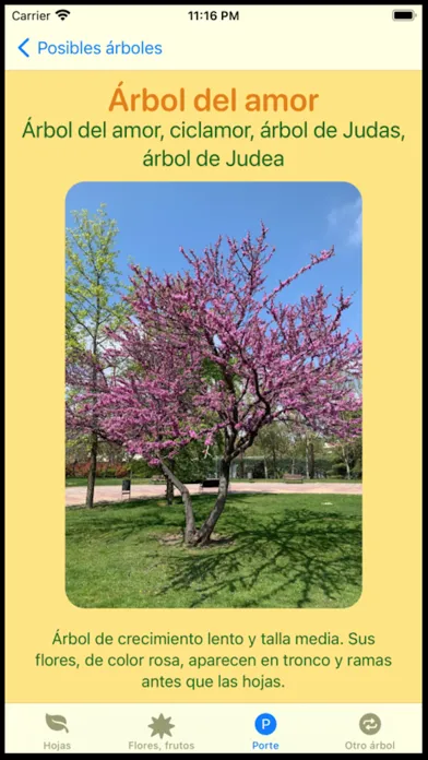Que Arbol Es स्क्रीनशॉट