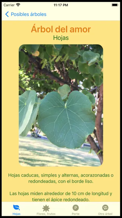 Que Arbol Es स्क्रीनशॉट