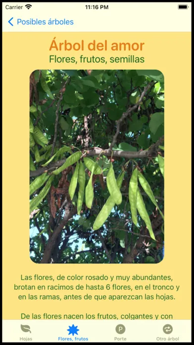 Que Arbol Es स्क्रीनशॉट