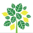 Lemon Grove School District