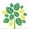 Lemon Grove School District