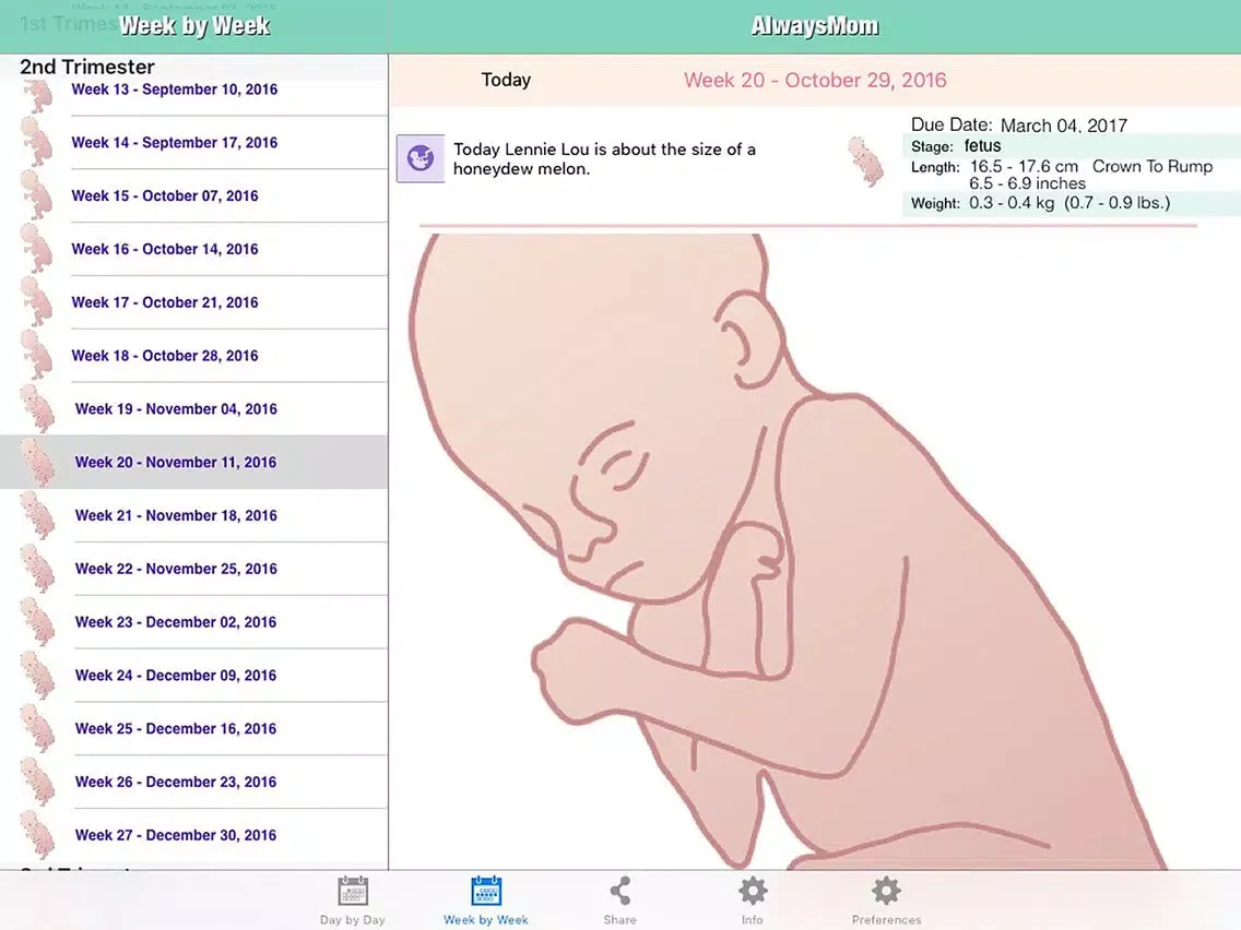 Tangkapan skrin AlwaysMom iPad 