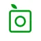 PlantSnap - identify plants